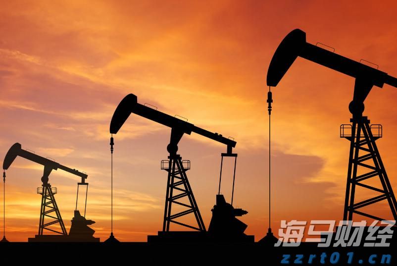 中报展现稳健业绩，解析卫龙美味(09985)在逆境中的成功之路